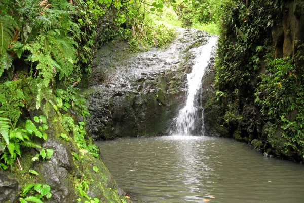 Maunawili Falls Hike