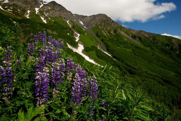 Things To Do in Kenai Fjords National Park