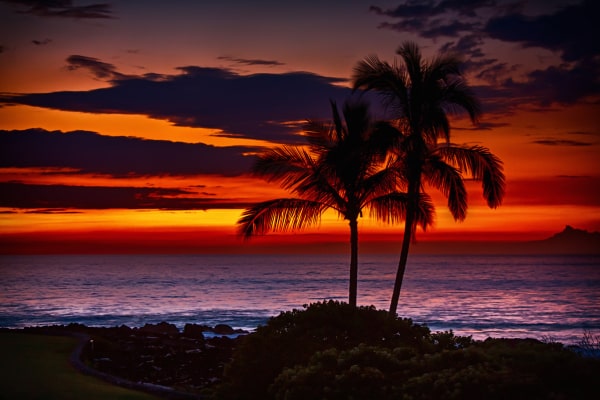 5 Unmissable Places in Hawaii: Why You Should Not Miss Out On These Places?